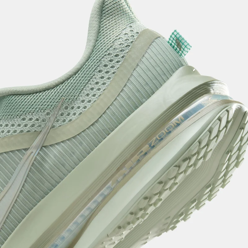 Nike Men's Pegasus Premium Road Running Shoes